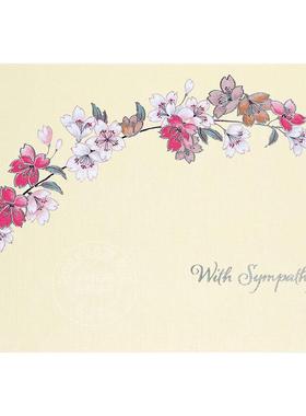 明信片信封贺卡 文创周边 Peter Pauper Press 英文原版  Sympathy Note Cards