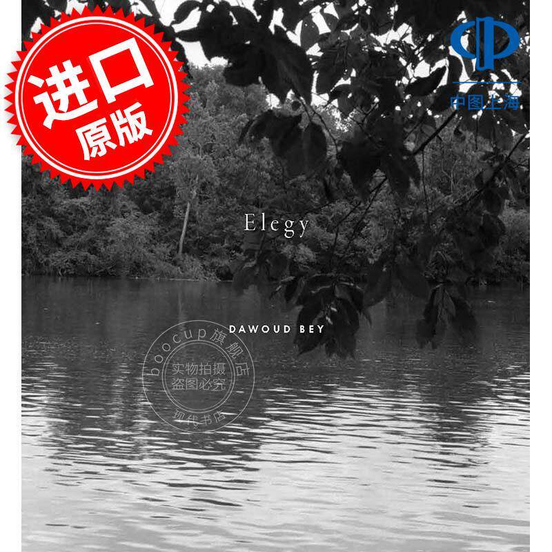 达沃德·贝:挽歌 摄影艺术画集 英文原版 Dawoud Bey: Elegy