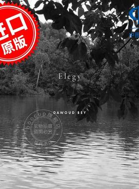 达沃德·贝：挽歌 摄影艺术画集 英文原版 Dawoud Bey: Elegy