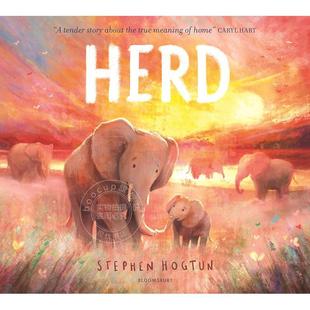Stephen Hogtun 英文原版 现货 儿童绘本故事书 HERD 5岁 象群