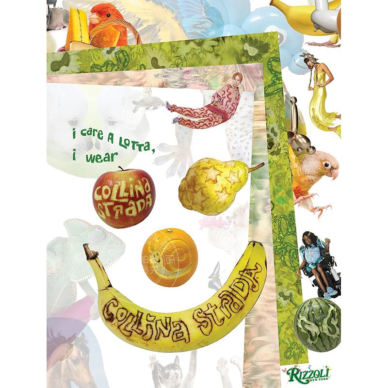 现货 我很在乎，我穿Collina Strada 时尚品牌Collina Strada设计风格概要 艺术时尚画册  英文原版 I Care a Lotta, I Wear Colli