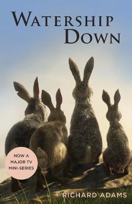 现货 兔子共和国 理查德·亚当斯 Richard Adams 英文原版 Watership Down 经典文学名著 11+岁