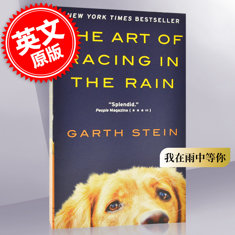 我在雨中等你加思·斯坦作品