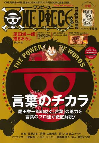 现货 进口日文  海贼王 ONE PIECE magazine Vol.11