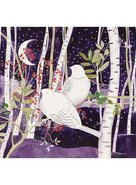 白桦树上的鸽子 明信片信封节日贺卡 文创周边 Peter Pauper Press 英文原版  Doves in White Birches Deluxe Boxed Holiday Card