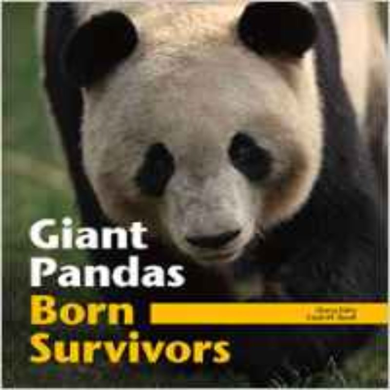 现货 大熊猫百科图册 英文原版 giant pandas: born survivors