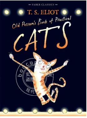 现货 擅长装扮的老猫经 插图版 艾略特 英文原版 Old Possum's Book of Practical Cats 平装 俏皮诗集 百老汇音乐剧猫的原著