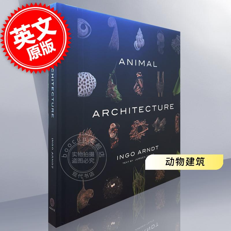 动物建筑 Ingo Arndt 动物栖息行为探索摄影集 英文原版 Animal Architecture