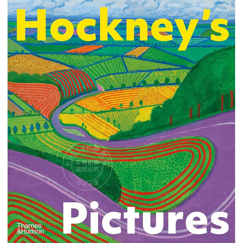 大卫霍克尼的画作 David Hockney艺术画集 Thames & Hudson出版社 英文原版 Hockney's Pictures