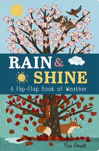 节小知识儿童读物 Weather 天气变化 天气季 Flip Rain 英文原版 Book 纸板翻翻书 Flap Shine