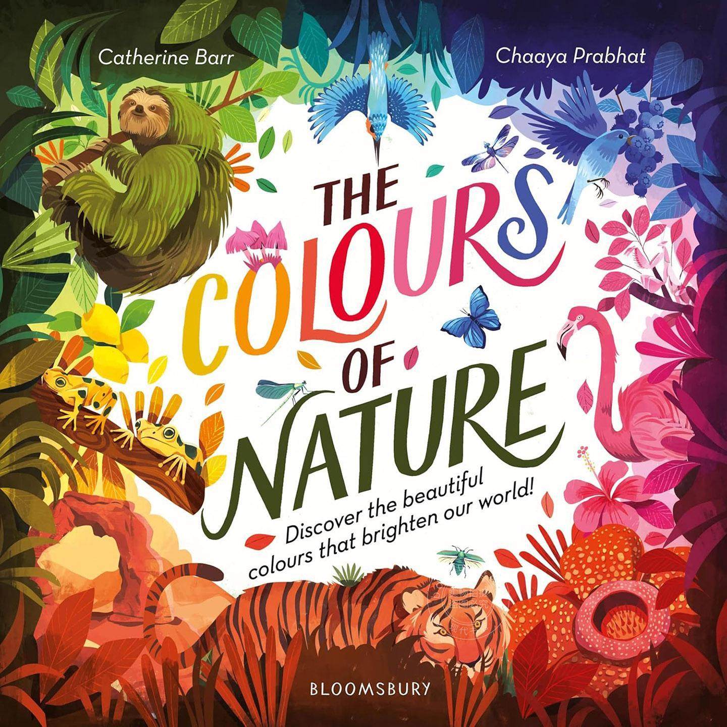 自然之色 儿童科普读物 Catherine Barr 英文原版 Colours of Nature 5-7岁