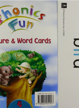 现货 PHONICS FUN (AME ED) WORD & PICT CARDS 4