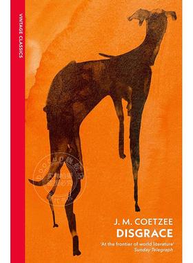 现货 耻 J·M·库切 J.M. Coetzee  vintage classics系列 英文原版 Disgrace
