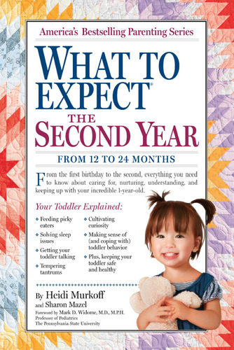 现货 海蒂 孕期指导：从12个月至24个月 英文原版 What to Expect the Second Year: From 12 to 24 Months by Heidi Murkoff