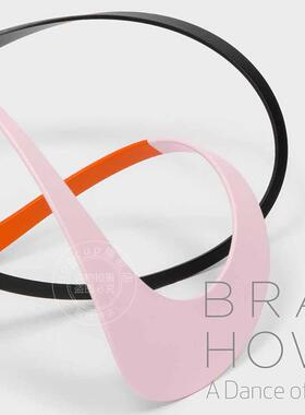 预售 布拉德·豪：原子之舞 艺术画册 英文原版 Brad Howe: A Dance of Atoms