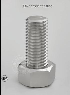 预售 Iran do Espirito Santo 巴西极简抽象派艺术家 艺术画册 英文原版 Skira