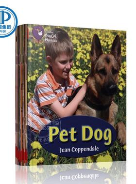 现货 原版进口全英文 Big Cat Phonics Red A大猫自然拼读法2 红色套