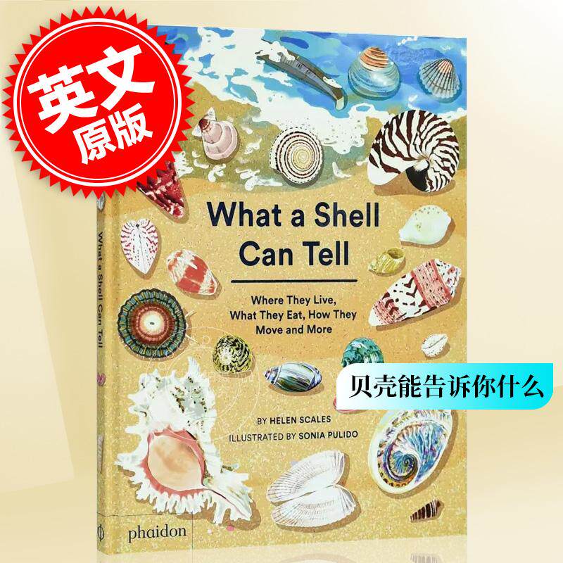 现货 贝壳能告诉你什么 英文原版 What A Shell Can Tell