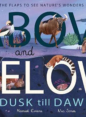 神奇的地上和地下世界 黄昏至黎明 英文原版 Above and Below: Dusk till Dawn 小老虎出版社 儿童科普趣味绘本