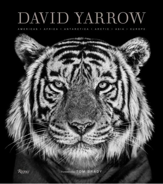 现货 大卫?亚罗野生动物摄影集英文原版David Yarrow Photography动物摄影师Rizzoli出版精装艺术影集