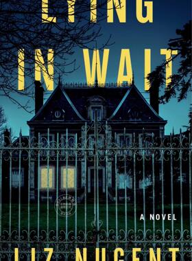 现货 伏击 英文原版 Lying in Wait 利兹·纽金特 Liz Nugent 只有他知道一切作者 解开奥利弗 犯罪小说 爱尔兰作家