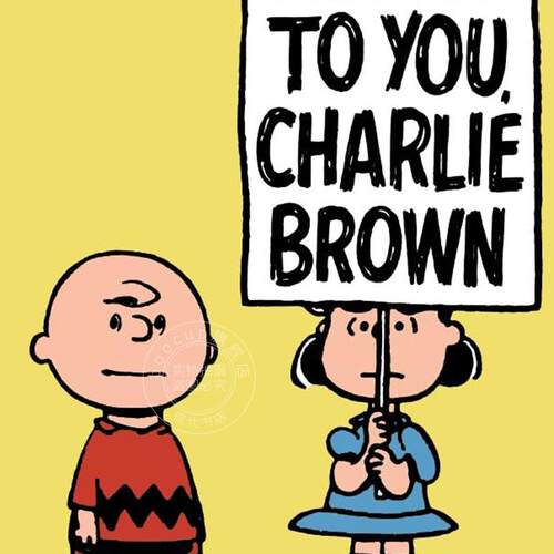 现货 花生漫画：与你同在查理布朗 史努比 英文原版 Peanuts: Here’s to You Charlie Brown