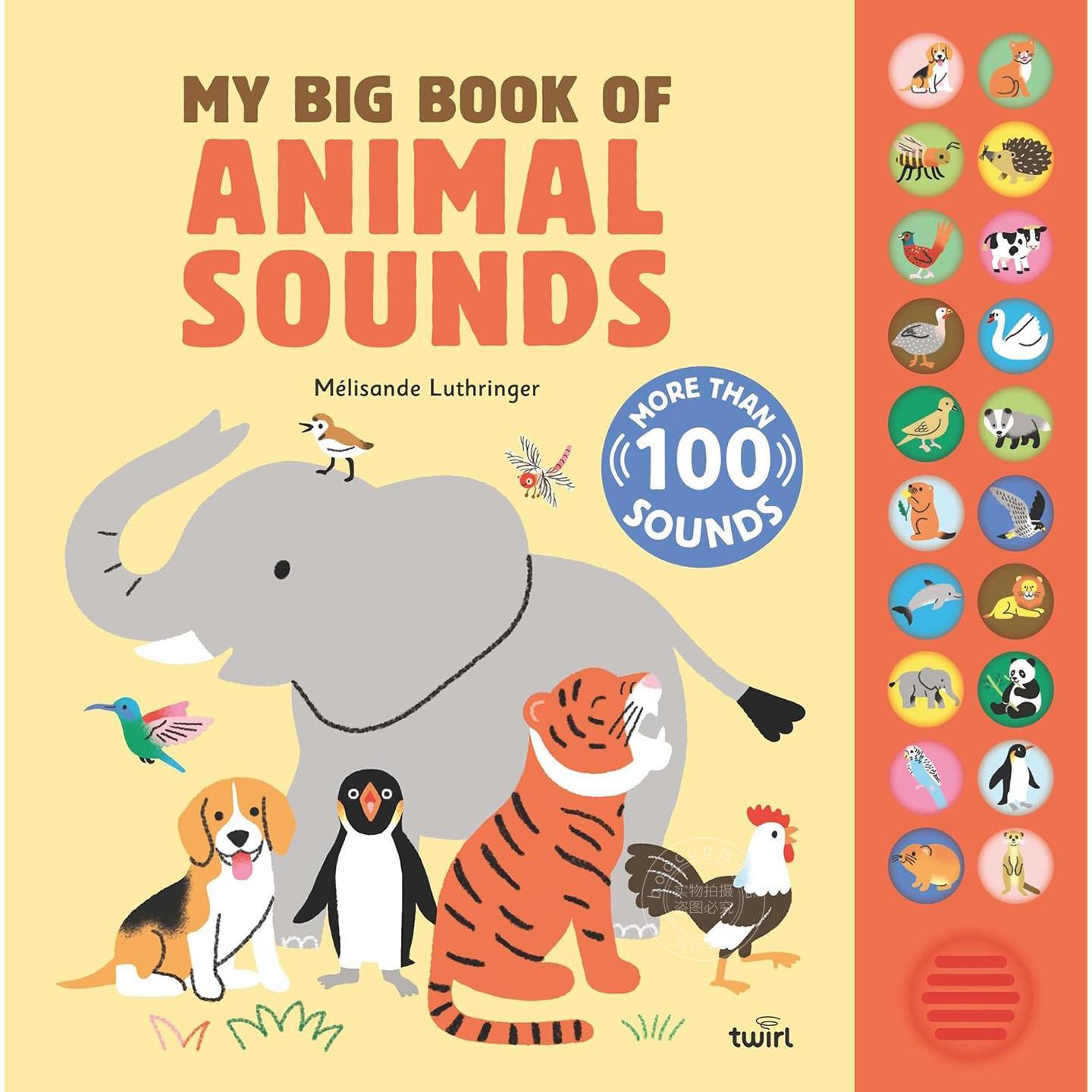 现货 我的动物叫声大百科 儿童感官认知启蒙书 平装 英文原版 My Big Book of Animal Sounds 0-3岁