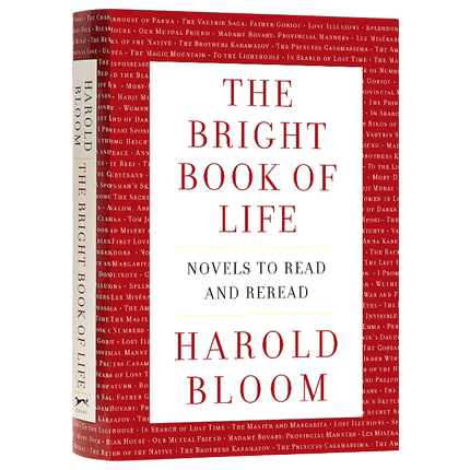 现货 the bright book of life novels to read and reread 英语原版
