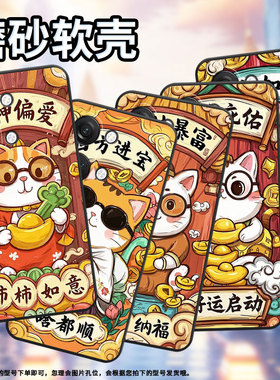 适用一加NordCE4手机壳Nord2T商务NordN10发财暴富GN2200硅胶OneplusNordCE耐磨CE2Lite全包CPH2467软壳