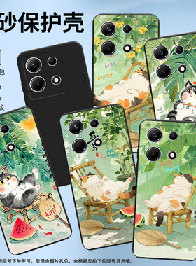 适用传音InfinixNote30手机壳InfinixNote30i全包边磨砂壳商务InfinixNote30Pro竹椅上肥猫X6833B保护套