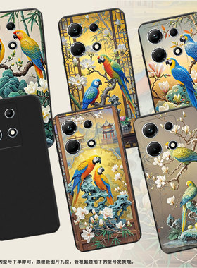 适用传音InfinixNote30手机壳鹦鹉InfinixNote30i磨砂壳InfinixNote30Pro高级感X6716B全包边保护套