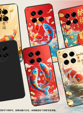 适用传音TecnoCamon30sPro手机壳高级感彩色锦鲤Camon30s防摔TecnoCamon30Pro磨砂壳Camon30全包边保护套