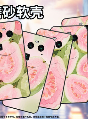 适用OPPOFindX2Pro手机壳A2Pro商务水果芭乐全包0pp0F23细外壳FindX2耐磨OPPOFindX7Pro硅胶PHZ110保护套