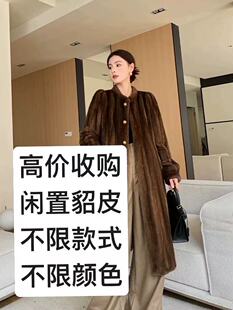 高价收购闲置貂皮回收旧貂皮毛