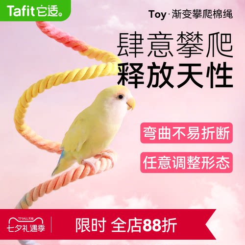 它适鹦鹉旋转攀爬绳玄凤牡丹虎皮秋千攀爬玩具棉绳站杆鸟鹦鹉用品