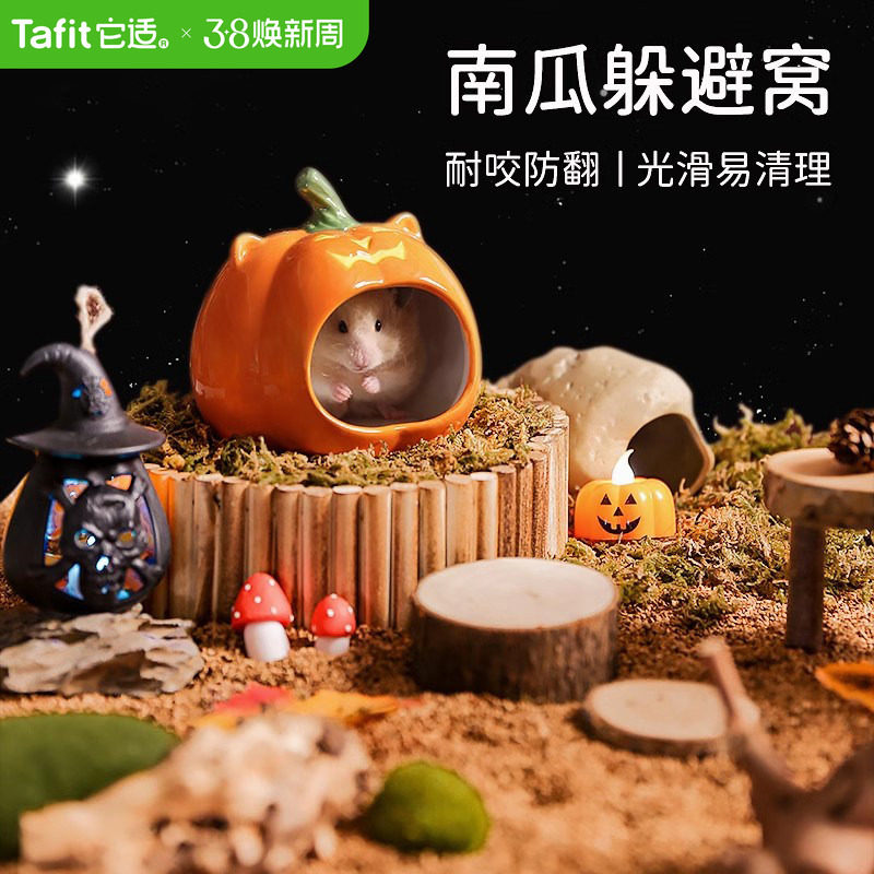 它适南瓜仓鼠陶瓷窝躲避屋金丝熊睡窝冰屋小屋房子冬天季降温用品