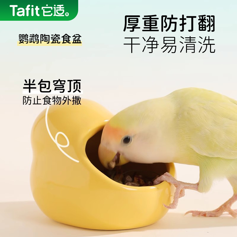 它适鹦鹉喂食器防溅鸟食盒盆食罐碗防撒玄凤牡丹虎皮喂食用品小鸟,宠物/宠物食品及用品,鸟禽喂食器/喂水器,淘宝优惠券,粉丝福利购,淘宝优惠卷