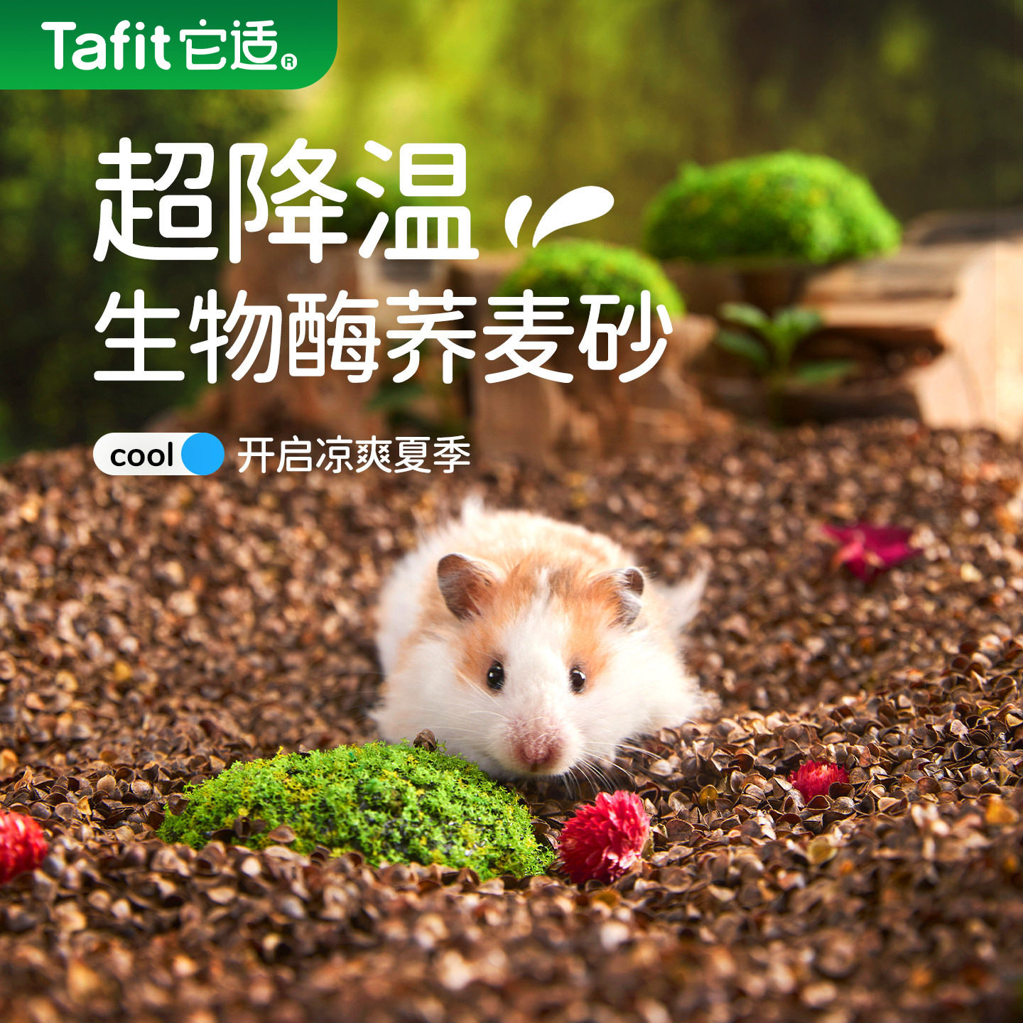 它适仓鼠生物酶荞麦砂冬季天垫料金丝熊吸水除臭透气造景专用用品,宠物/宠物食品及用品,垫料,淘宝优惠券,粉丝福利购,淘宝优惠卷