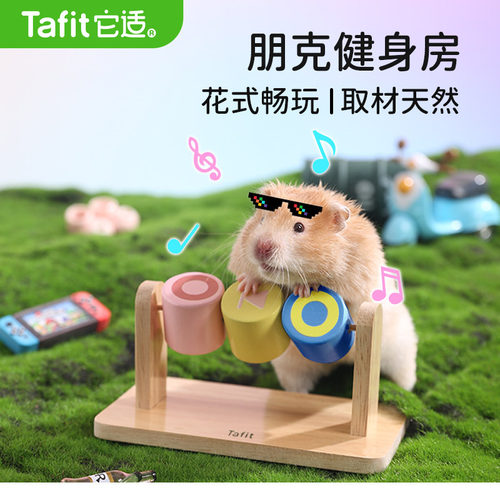 它适朋克健身房仓鼠玩具