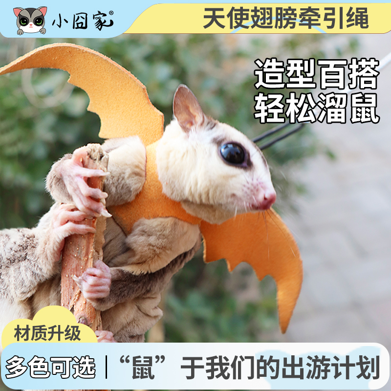 蜜袋鼯小衣服外出牵引绳防丢