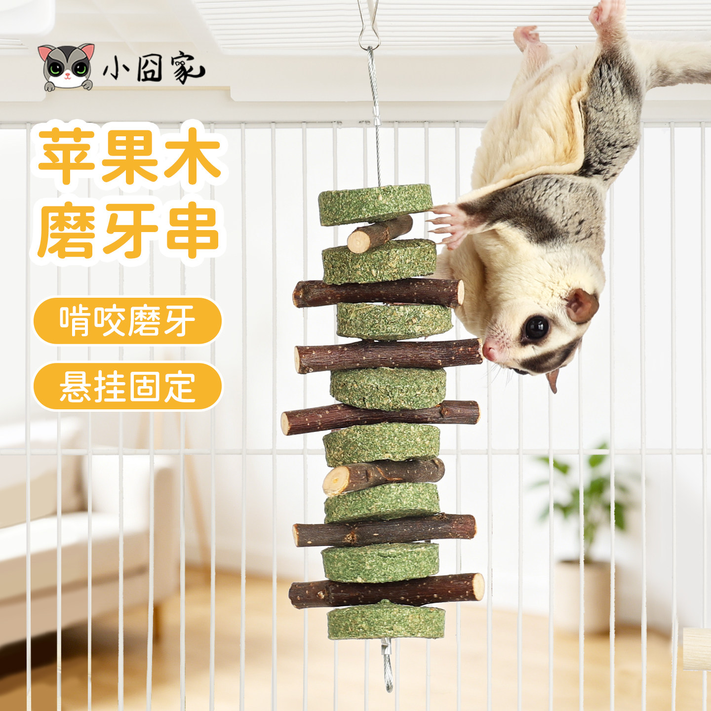 蜜袋鼯花枝仓鼠磨牙月饼苹果树图片