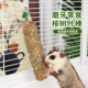 蜜袋鼯专用零食桉树叶磨牙棒谷物磨牙啃咬玩具用品训练奖励食物