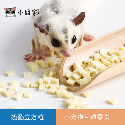 蜜袋鼯互动躺手零食适口性好