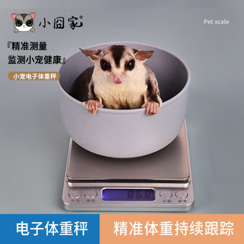 宠物体重秤监测小宠的体重健康