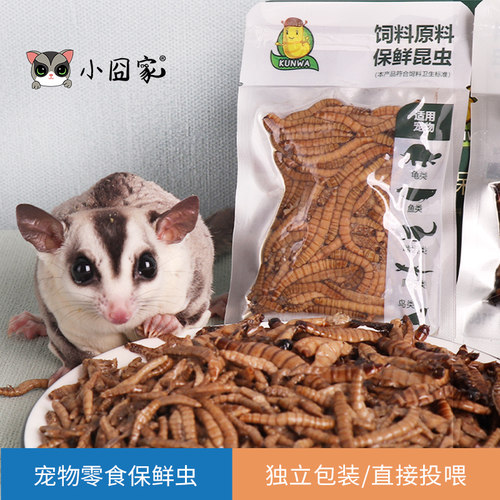 宠物零食保鲜虫锁住营养方便携带