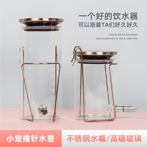 撞针水壶玻璃防咬龙松鼠花枝