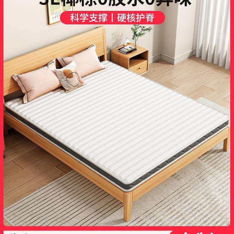 棕垫天然椰棕榈床垫硬垫子1米5家用儿童护腰硬垫厚席梦思床垫定