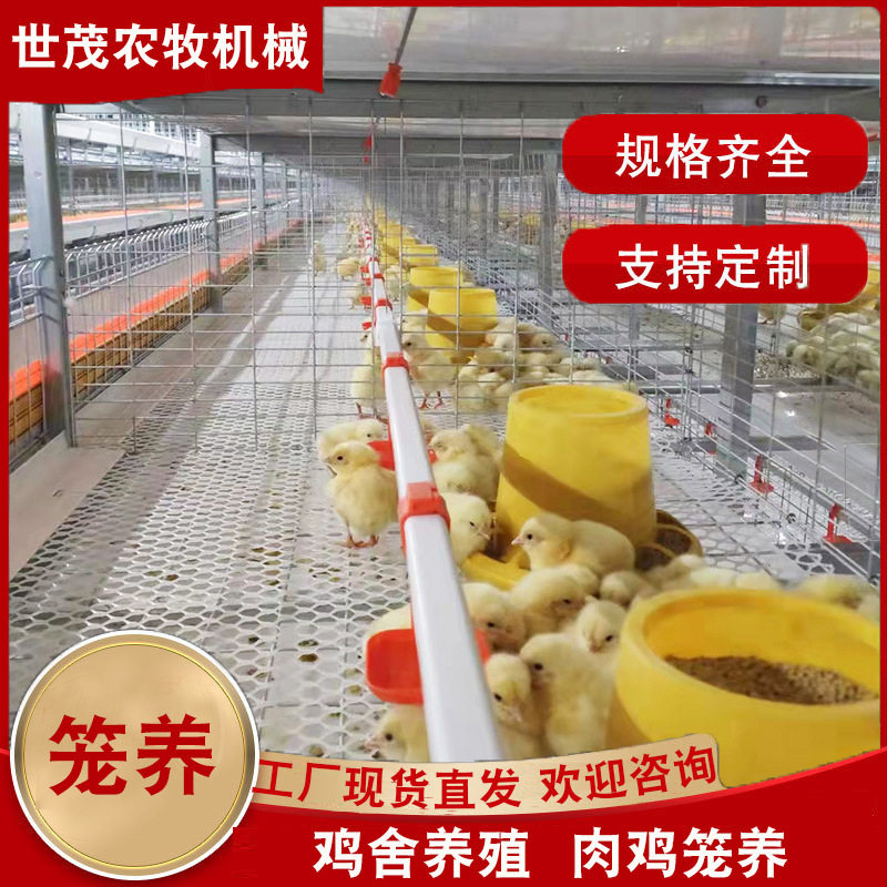 笼养链式料线批发养鸡场蛋鸡笼养殖阶梯式笼镀锌防锈鸡笼子世茂