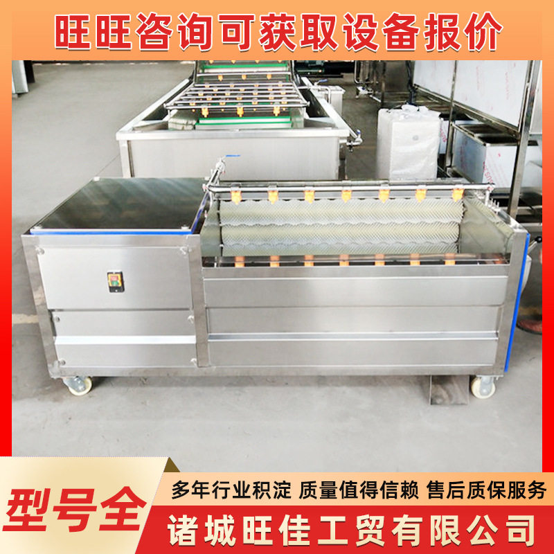 根茎类魔芋紫薯莲藕毛辊去皮清洗