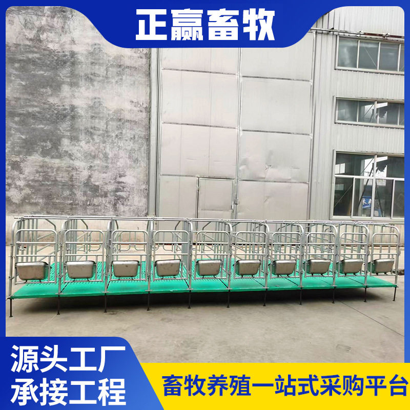 厂家批发热镀锌钢管母猪产床限位栏养猪场养猪设备母猪复合定位栏